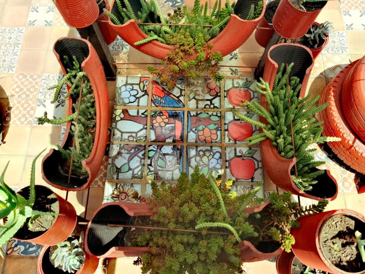 The Roof Backpackers Hotel Guadalajara Exterior foto