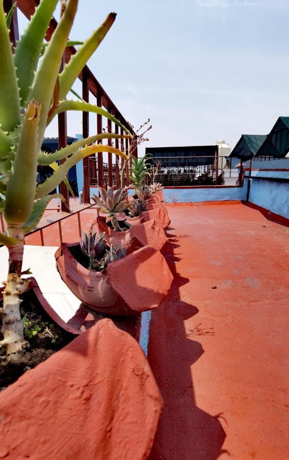 The Roof Backpackers Hotel Guadalajara Exterior foto